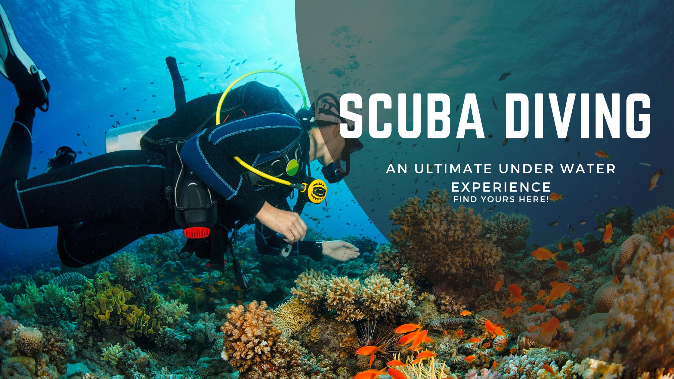 scuba diving